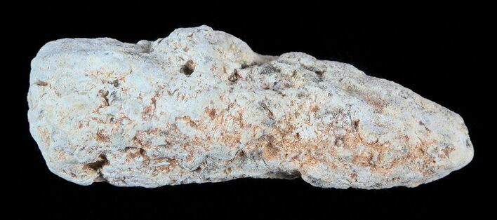 Cretaceous Fish Coprolite (Fossil Poop) - Kansas #49367